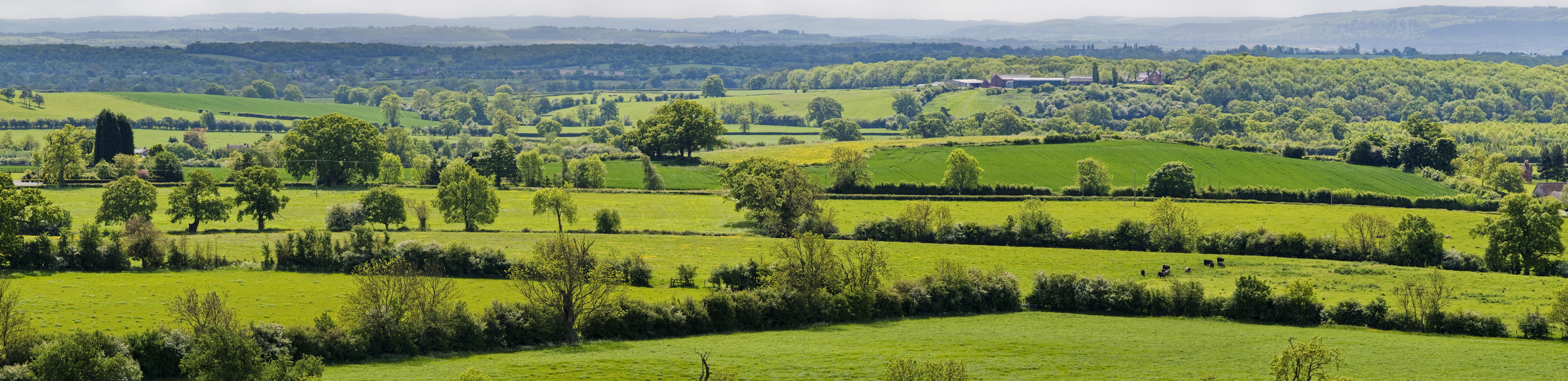 rolling hills